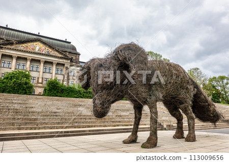 Dresden, Germany - May 16, 2023 113009656