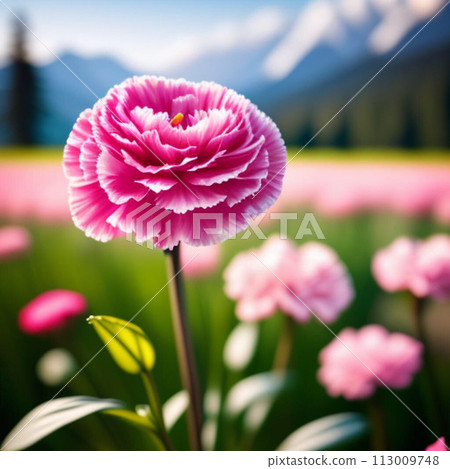 達利婭（Dalia）在高原上綻放 113009748