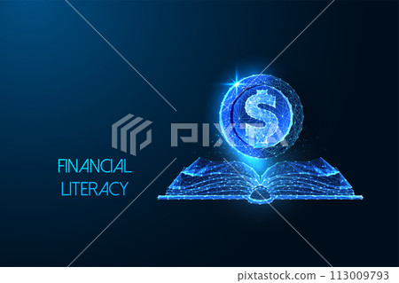 Financial literacy, economics education futuristic concept with open book and dollar coin Financial literacy, economics education futuristic concept with open book and dollar coin 113009793