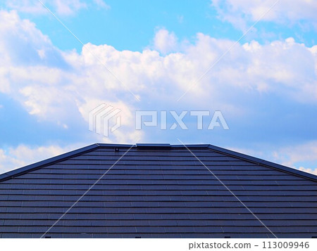 slate roof slate roof 113009946