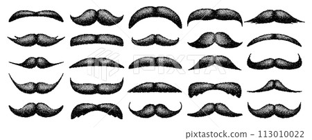 Stippled vintage mustache. Curly facial hair. Hipster beard. Stippling, dot drawing and shading, stipple pattern, halftone effect. Vector illustration 113010022