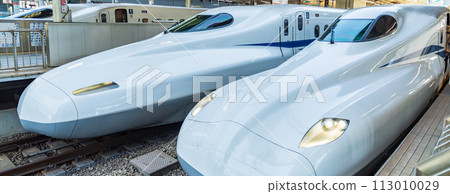 Shinkansen Tokaido/Sanyo Shinkansen stopping at Tokyo Station platform 113010029