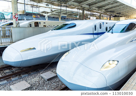 Shinkansen Tokaido/Sanyo Shinkansen stopping at Tokyo Station platform 113010030
