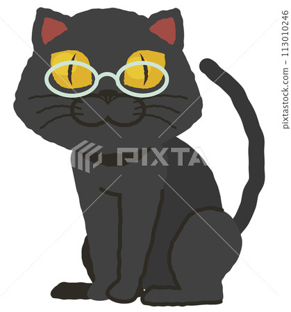 戴眼鏡的黑貓 113010246
