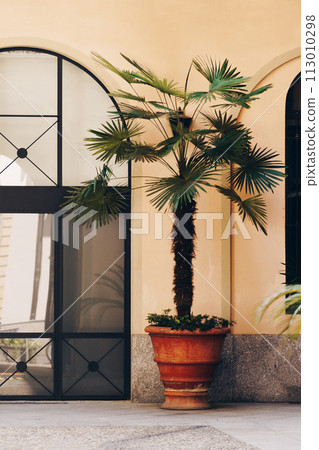 Doors and small palm tree between them on sunny day in small Italian courtyard Doors and small palm tree between them on sunny day in small Italian courtyard 113010298
