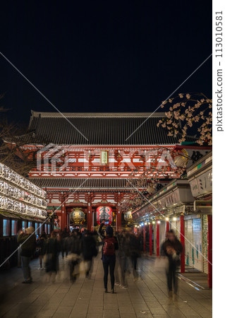 從淺草寺和仲見世街欣賞寶藏門的「東京」夜景 從淺草寺和仲見世街欣賞寶藏門的「東京」夜景 113010581