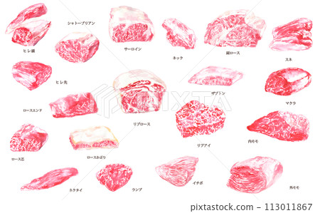 水彩畫的牛肉各部位插圖 113011867