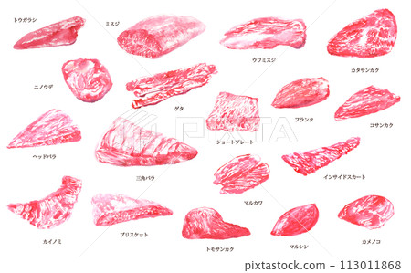 Illustration of various parts of beef drawn in watercolor 113011868
