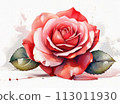 pink rose on grunge background, A single red rose flower in the style of watercolor pseudo, white background pink rose on grunge background, A single red rose flower in the style of watercolor pseudo, white background 113011930