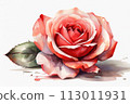 pink rose on white, A single red rose flower in the style of watercolor pseudo, white background pink rose on white, A single red rose flower in the style of watercolor pseudo, white background 113011931