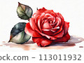 rose on white background, A single red rose flower in the style of watercolor pseudo, white background rose on white background, A single red rose flower in the style of watercolor pseudo, white background 113011932