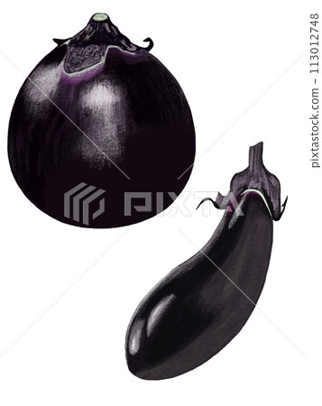 Round and long eggplants Round and long eggplants 113012748