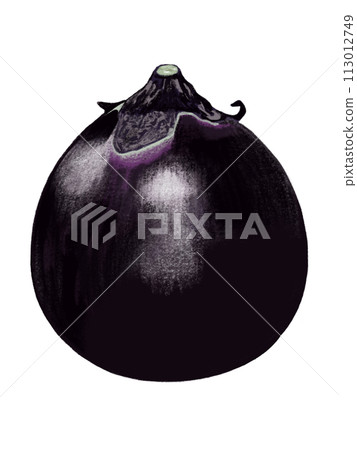 Marugus eggplant Marugus eggplant 113012749