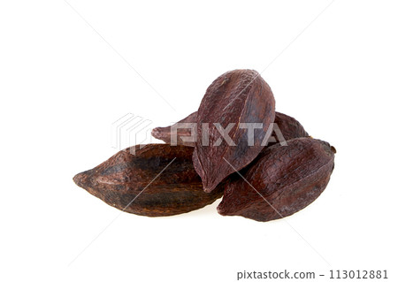 cacao pod isolated on white background 113012881