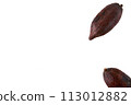 cacao pod isolated on white background 113012882