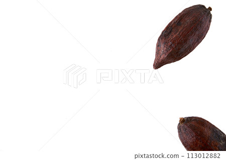 cacao pod isolated on white background 113012882