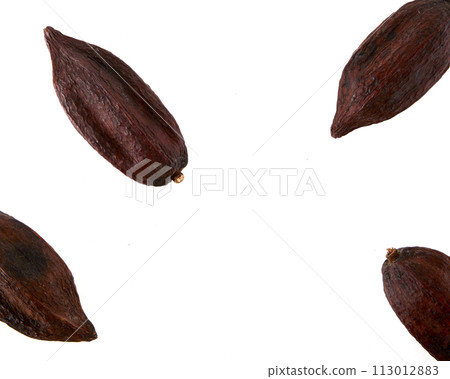 cacao pod isolated on white background 113012883