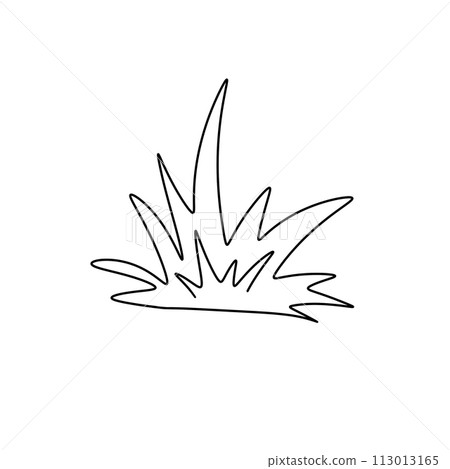 A grassy plant with a long stem 113013165