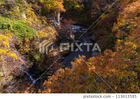 Autumn in Numata City, Gunma Prefecture - Fukiwari Valley with autumn leaves 113013585