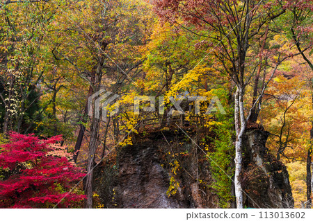 Autumn in Numata City, Gunma Prefecture - Fukiwari Valley with autumn leaves Autumn in Numata City, Gunma Prefecture - Fukiwari Valley with autumn leaves 113013602