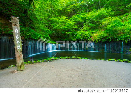 Shiraito Falls(輕井澤) Shiraito Falls(輕井澤) 113013737
