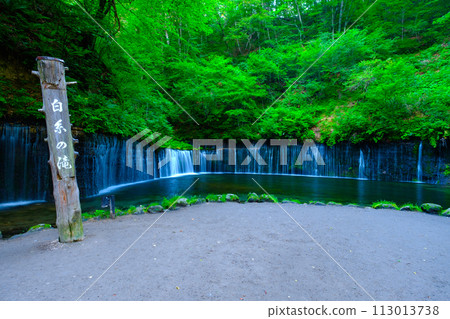 Shiraito Falls(輕井澤) Shiraito Falls(輕井澤) 113013738