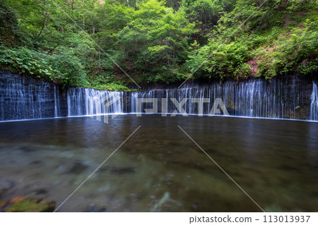 Shiraito Falls (Karuizawa) 113013937