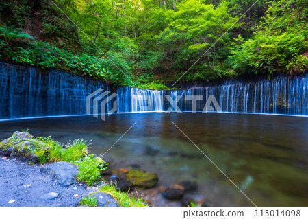 Shiraito Falls (Karuizawa) 113014098