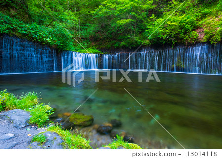 Shiraito Falls(輕井澤) Shiraito Falls(輕井澤) 113014118
