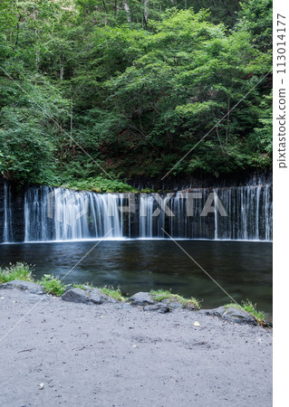Shiraito Falls(輕井澤) Shiraito Falls(輕井澤) 113014177