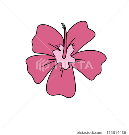 A pink flower with a pink stem 113014486