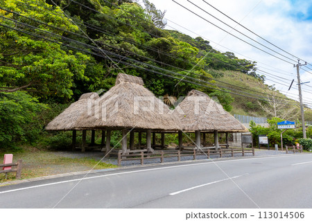 奄美大島 大和濱群藏 113014506