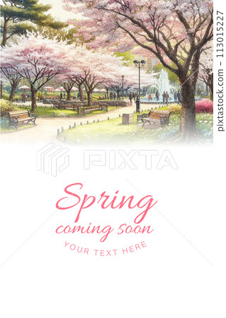 Watercolor illustration background of spring park with cherry blossoms in full bloom Watercolor illustration background of spring park with cherry blossoms in full bloom 113015227