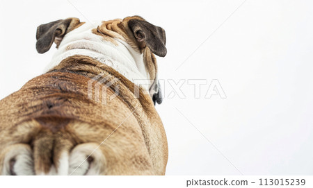 Bulldog image of Bulldog No1-32 113015239