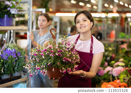 Middle-aged saleswoman holding fuchsia in flower-pots in open-air plants market 113015326