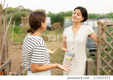 Cheerful young girls neighbors talking in backyard of village house 113015573