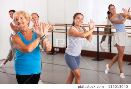 Group of active women practicing energetic dance in a studio 113015640