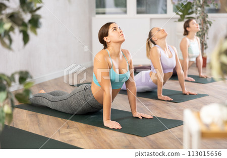 Group of females exercising during yoga class at gym 113015656