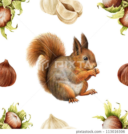 Cute red squirrel with hazelnut elements seamless pattern. Watercolor painted illustration. Hand drawn squirrel with nuts vintage style seamless pattern. White background Cute red squirrel with hazelnut elements seamless pattern. Watercolor painted illustration. Hand drawn squirrel with nuts vintage style seamless pattern. White background 113016306