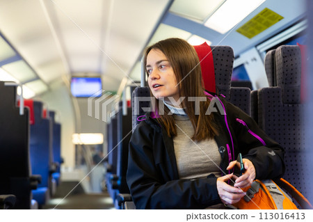 Portrait of woman sitting inside train 113016413