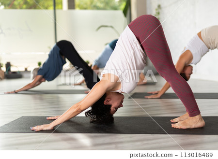 Fitness, sport and healthy lifestyle concept - mature woman doing yoga downward-facing dog pose on mat Fitness, sport and healthy lifestyle concept - mature woman doing yoga downward-facing dog pose on mat 113016489
