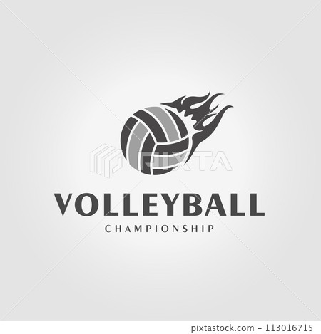 minimalist volleyball logo with fire in the top, illustration design of volleyball club icon 113016715