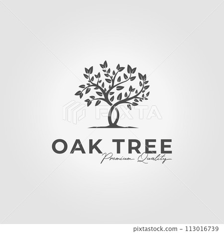 minimalist logo of oak tree, vector design illustration of olive tree, eden, acacia in summer 113016739