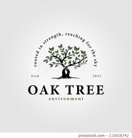 simple oak tree vector logo, illustration design of acacia and banyan tree icons in summer 113016742