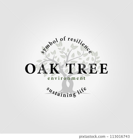 nature tree logo vector icon, natural oak tree design concept, environmental badge illustration 113016743