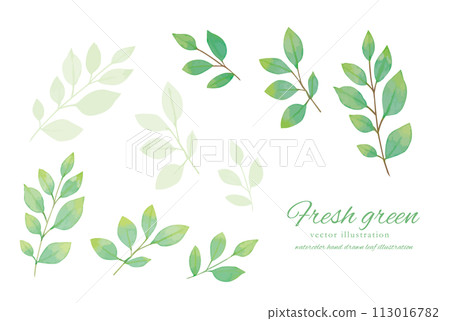 Simple illustration material of watercolor handwritten leaves 113016782