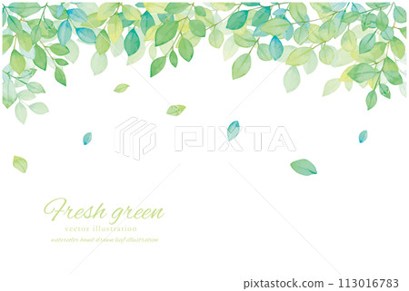 Watercolor fresh green vector illustration frame Watercolor fresh green vector illustration frame 113016783