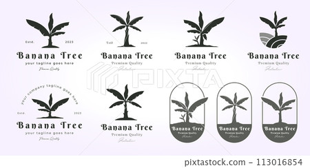 bundle banana tree logo vintage design set. simple banana tree logo vector design, banana tree vintage icon illustration 113016854