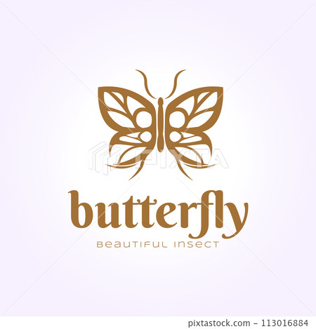 simple butterfly logo icon vintage design, illustration of beauty insect simple butterfly logo icon vintage design, illustration of beauty insect 113016884