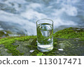 Natural water poured into a glass 113017471